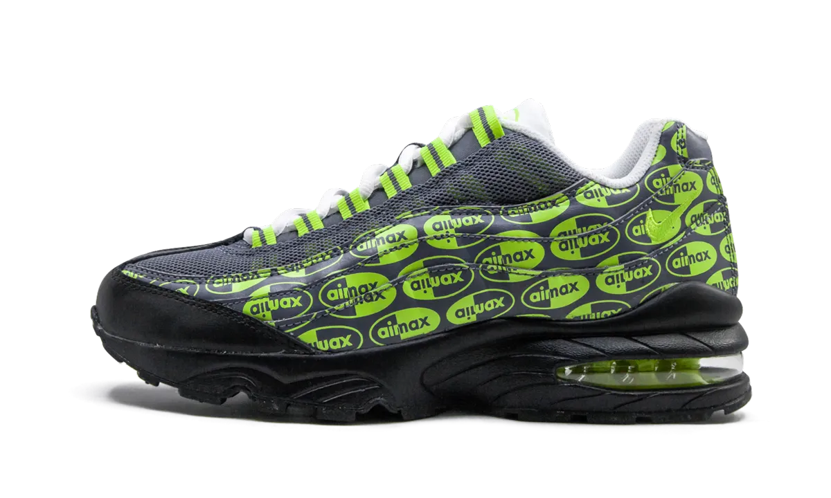 Air Max 95 SE (GS) Nike Grade School shoes