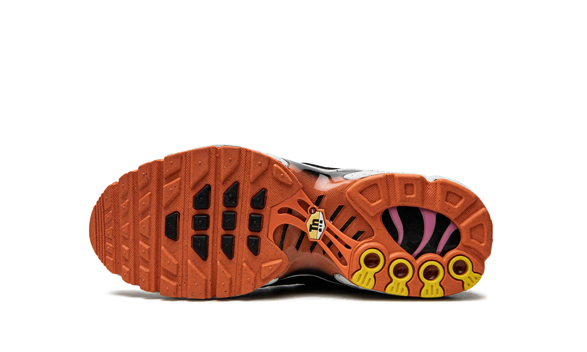 Air Max Plus GS nike grade school kids sneakers