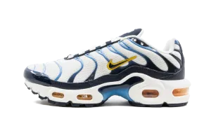 Air Max Plus Nike Grade School shoes