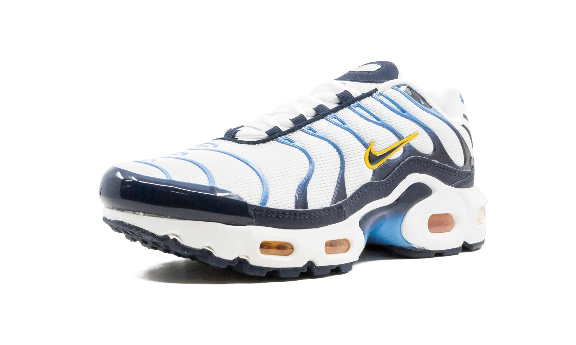 Air Max Plus nike grade school kids sneakers