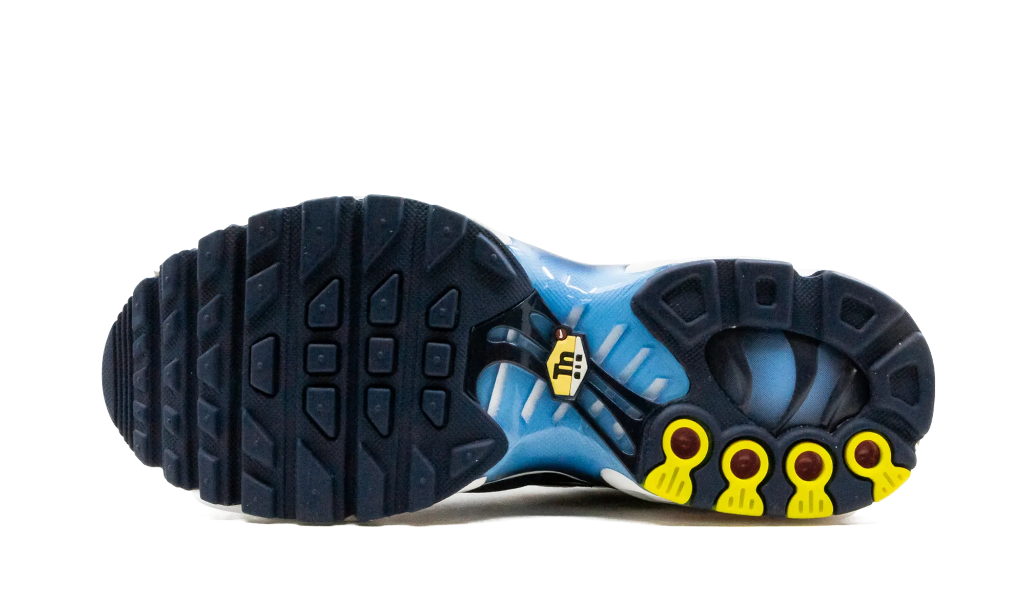 Air Max Plus nike grade school kids sneakers