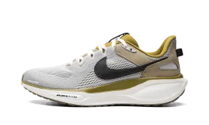Air Zoom Pegasus 41 SP "College Grey Anthracite" Nike Mens sneakers