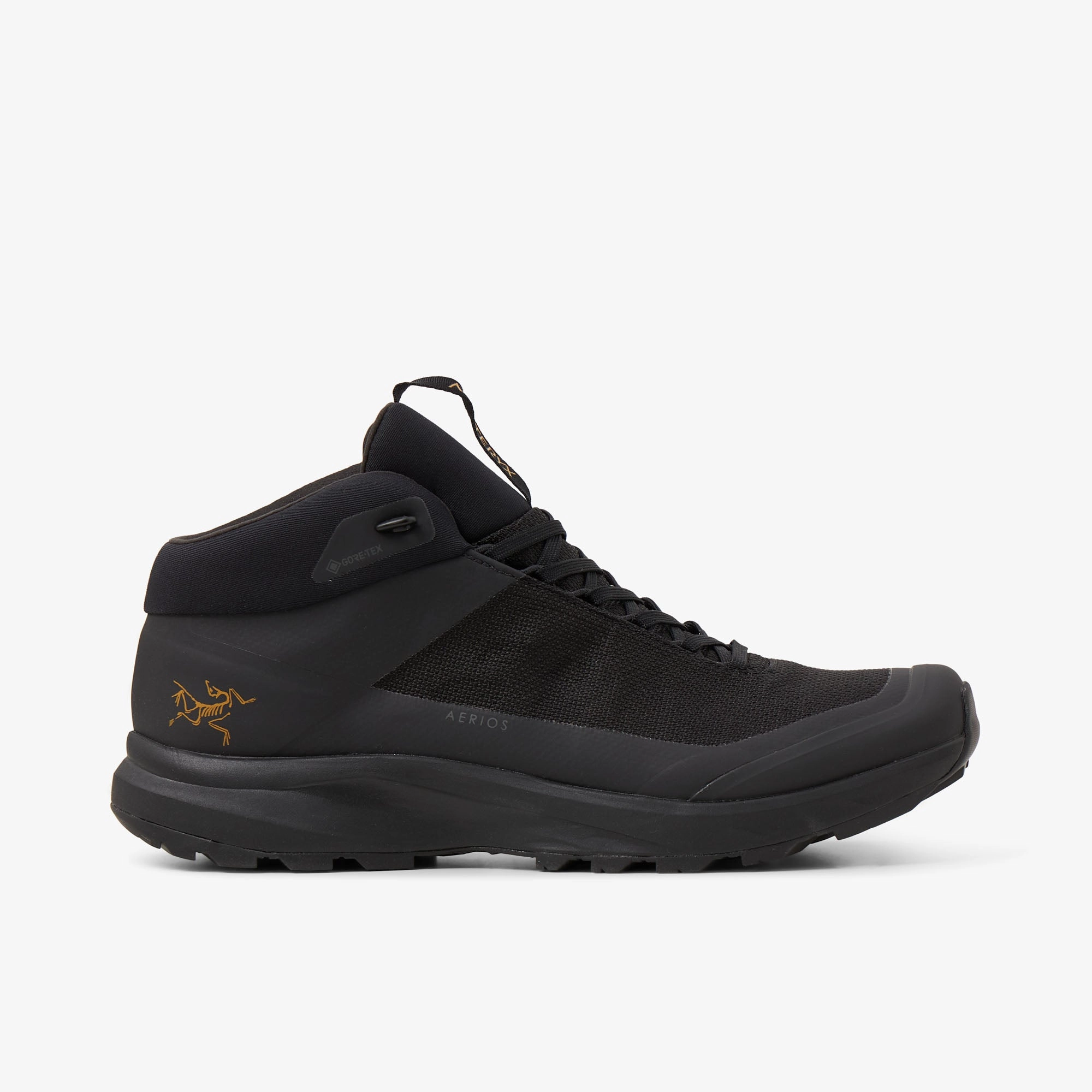 Arc'teryx Aerios FL 2 Mid GORE-TEX Black / Black Arc'teryx footwear models