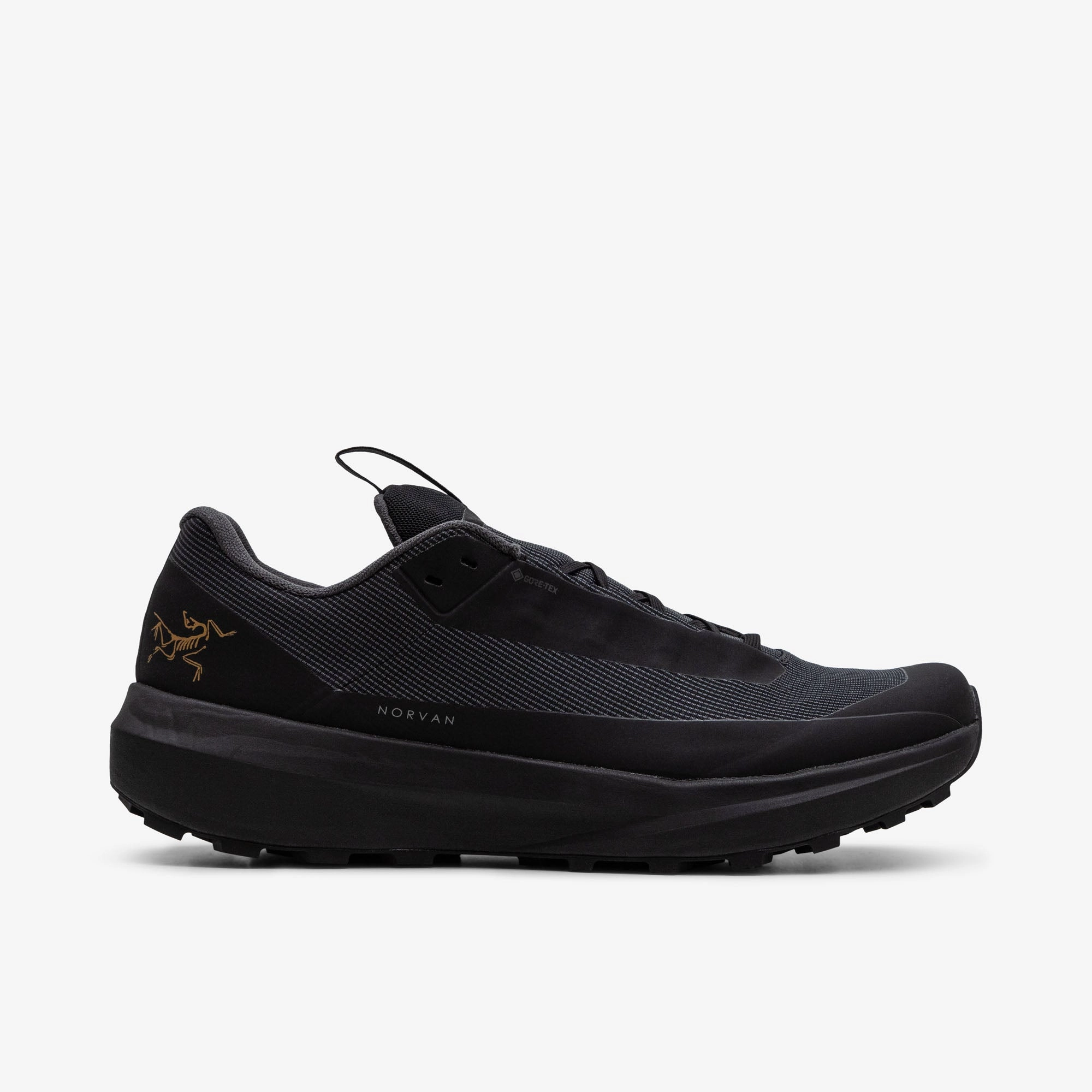 Arc'teryx Norvan LD 4 GORE-TEX Black / Black Arc'teryx footwear models