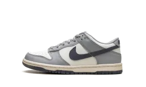 Dunk Low "Light Carbon" Nike Grade School styles