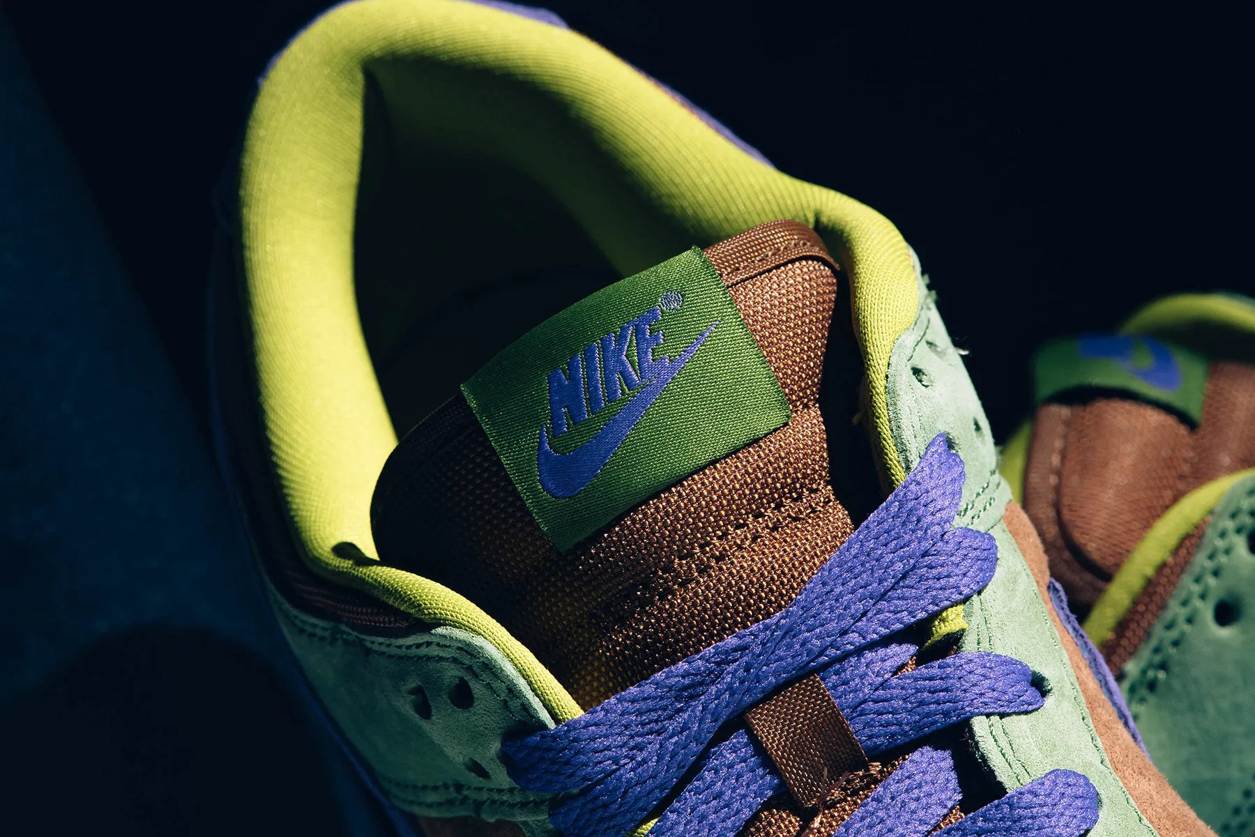 Dunk Low SP 'Veneer' - Deep Purple/Autumn Green Nike Retro Lifestyle Shoes