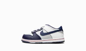 Dunk Low TD "Nets" Nike Toddler shoes