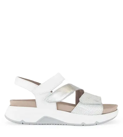 GABOR ROLLING SOFT HANOVER Gabor women's shoes