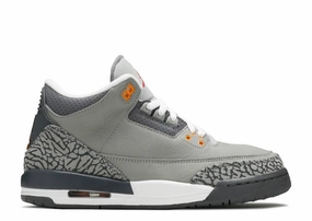 Jordan 3 Retro Cool Grey 2021 (WORN) Air Jordan signature sneakers in bold colorways