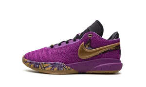 LeBron 20 GS "Young Heirs" Nike Grade School styles