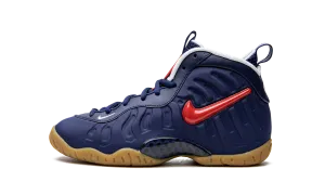 Little Posite Pro (GS) Nike Grade School styles