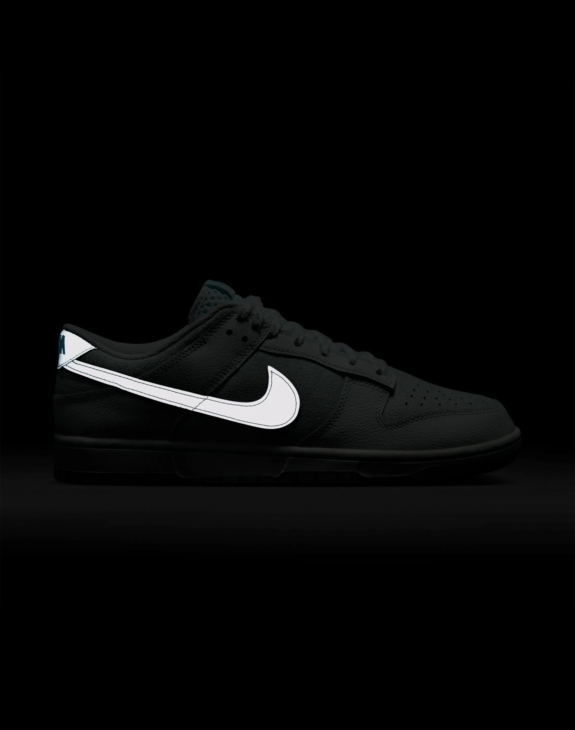 Nike Dunk Low Retro Speed Sneakers