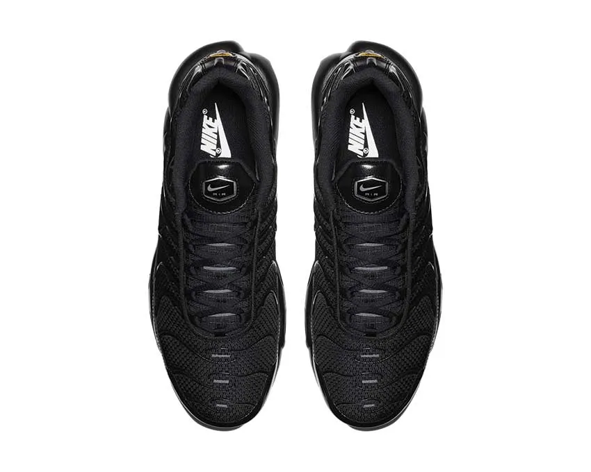 Nike Shoes Nike Air Max Plus Black