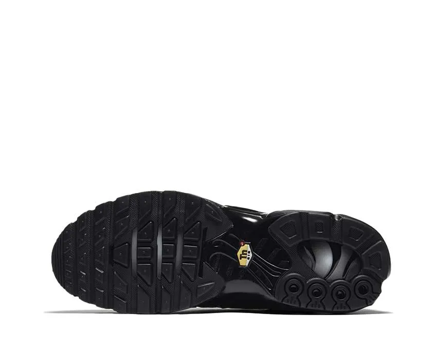 Nike Shoes Nike Air Max Plus Black