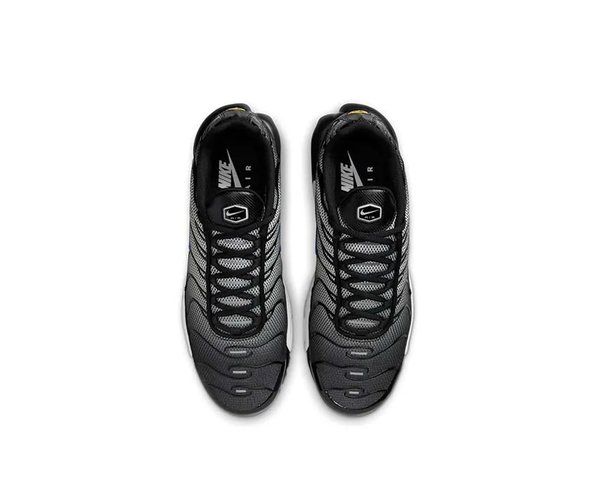 Nike Shoes Nike Air Max Plus "Anthracite"