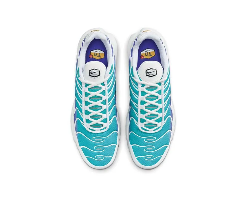 Nike Shoes Nike Air Max Plus "Aqua"