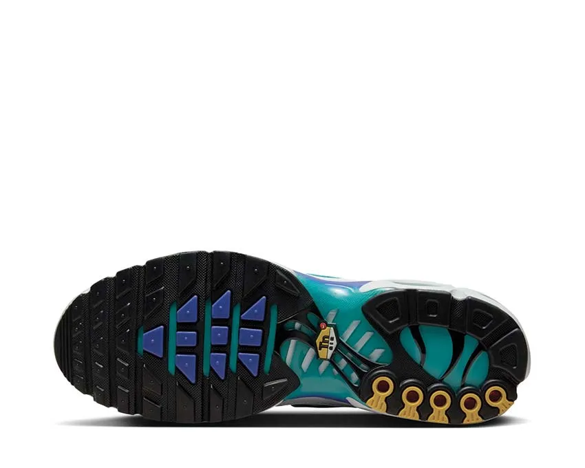 Nike Shoes Nike Air Max Plus "Aqua"
