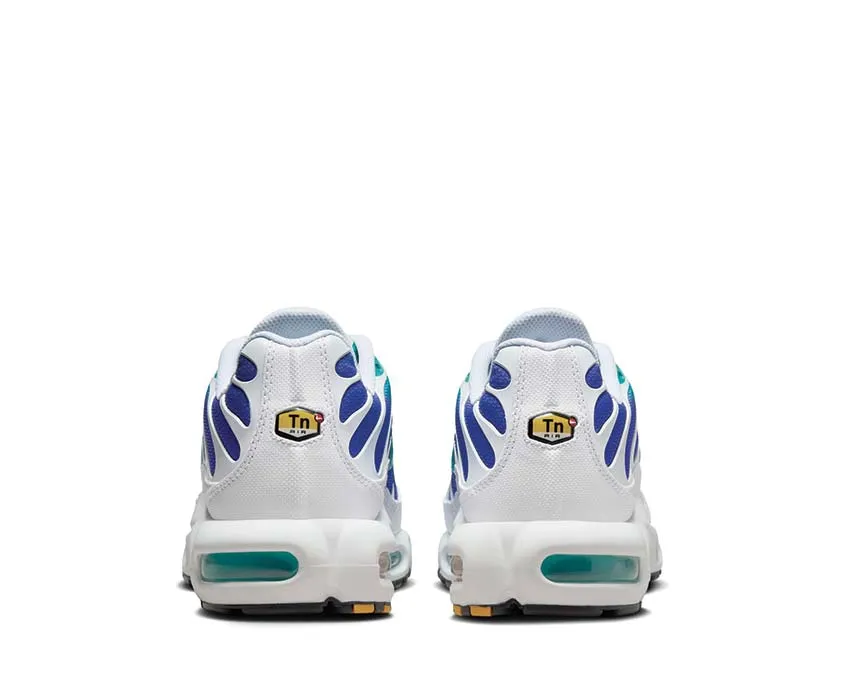 Nike Shoes Nike Air Max Plus "Aqua"