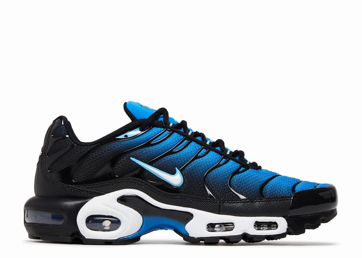 Nike Air Max Plus 'Aquarius Blue' Air Max sneakers