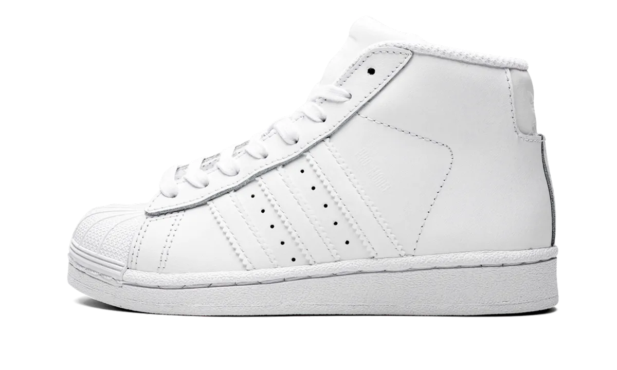 Pro Model PS