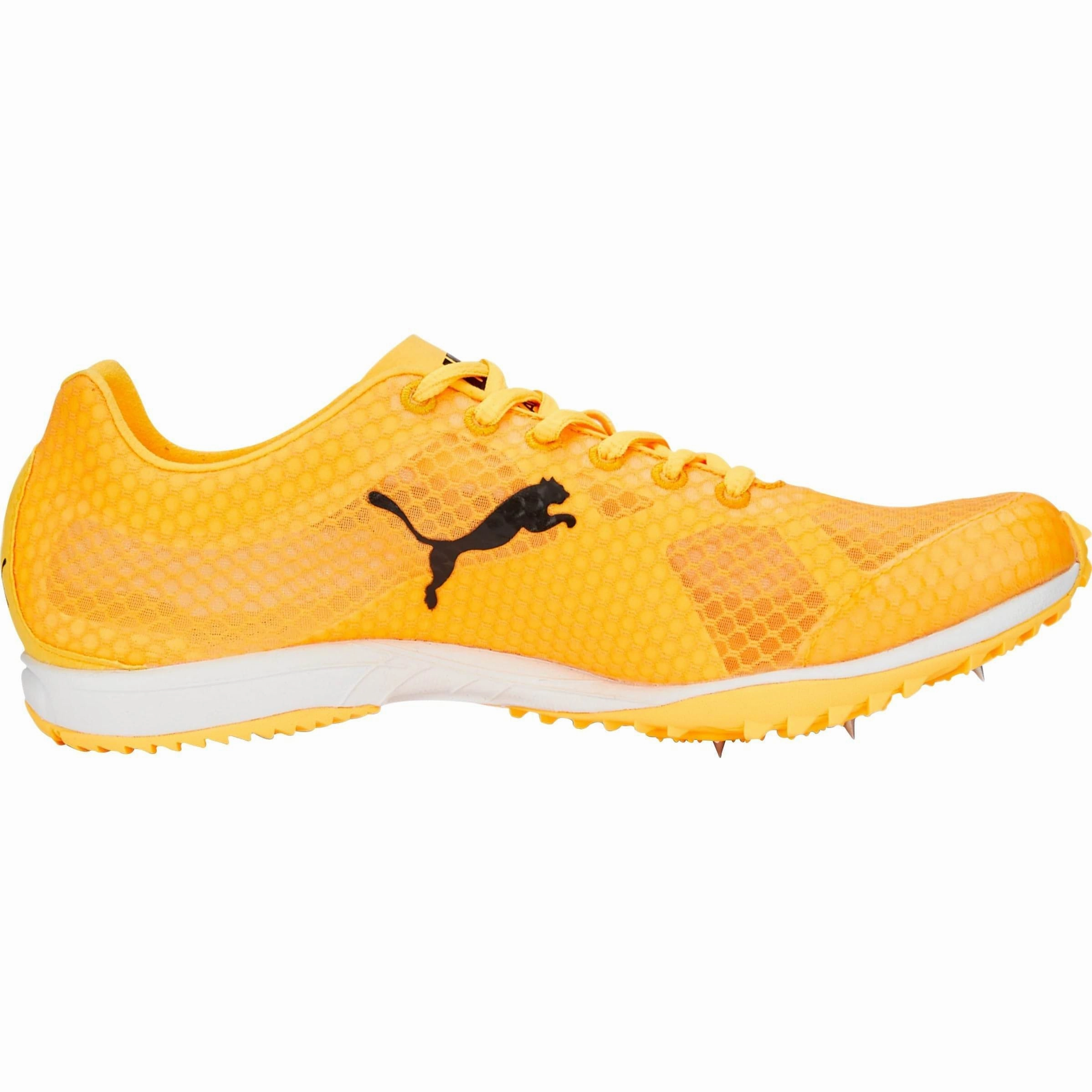 Puma evoSpeed Haraka 7 Cross Country Spikes - Orange Cozy Footwear