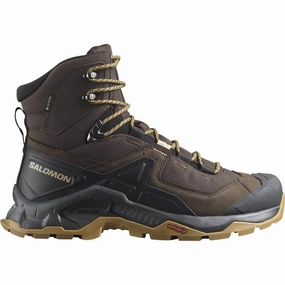 Salomon Quest Element GORE-TEX Mens Walking Boots - Brown Salomon walking boots