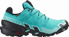 Salomon Speedcross 6 GORE-TEX Womens Trail Running Shoes - Blue Salomon waterproof styles