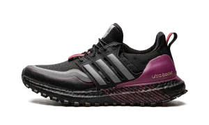 UltraBoost C.RDY DNA Adidas Grade School shoes